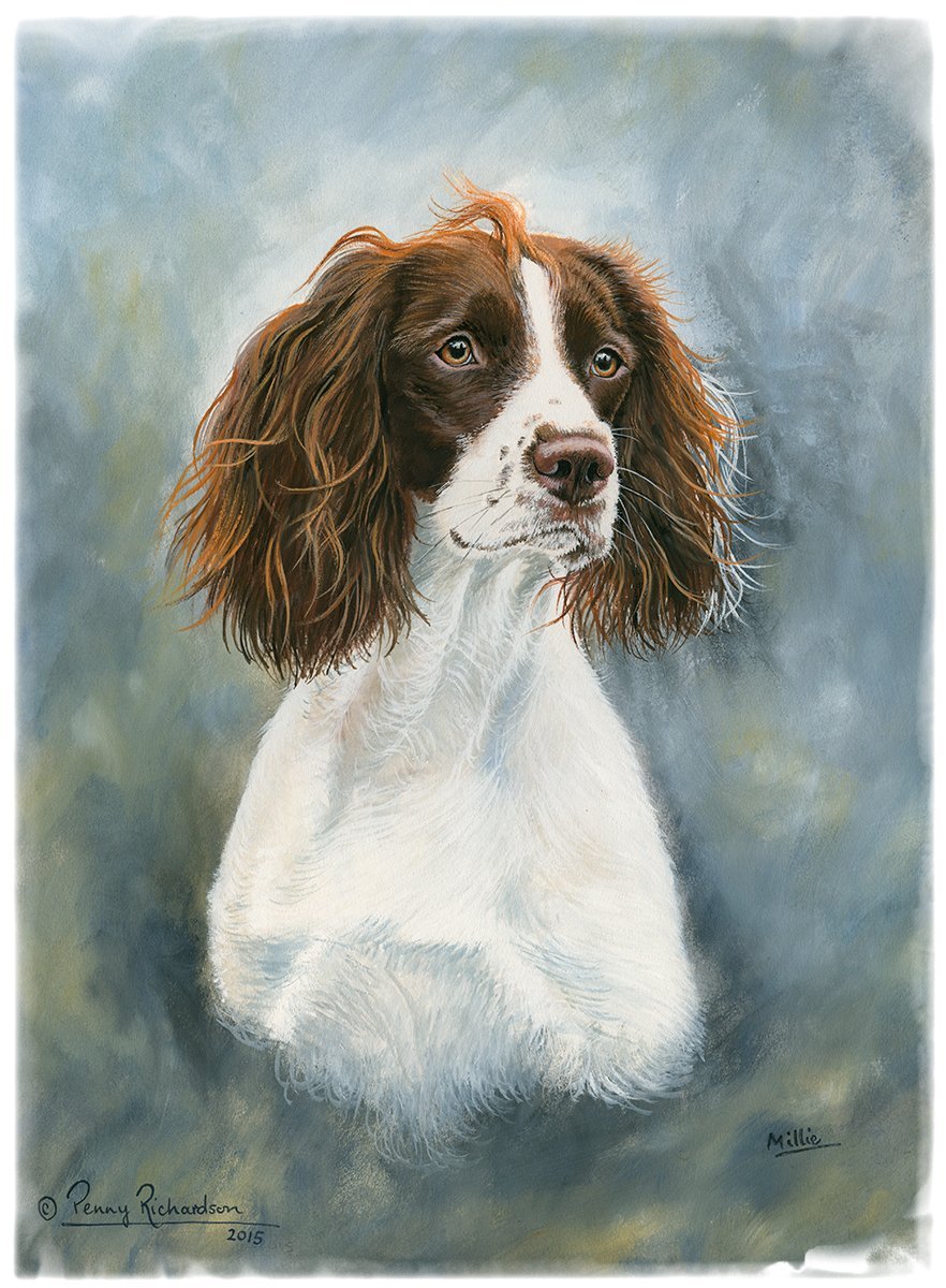 Art English Springer Spaniel