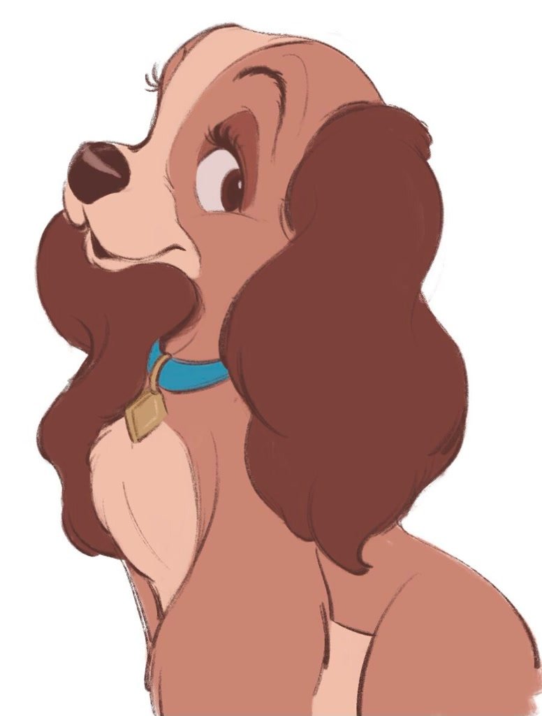 Fay Spaniel Feet