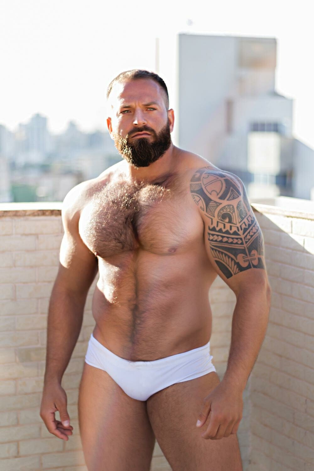Bruno Pacheko