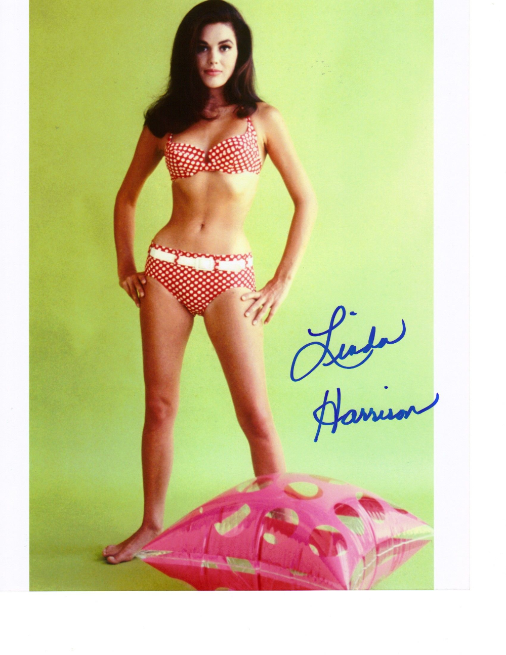 Linda Harrison Revelation
