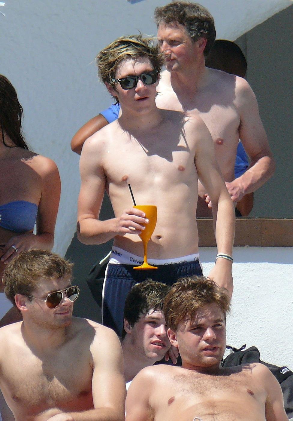 Picture Dear Diary Niall
