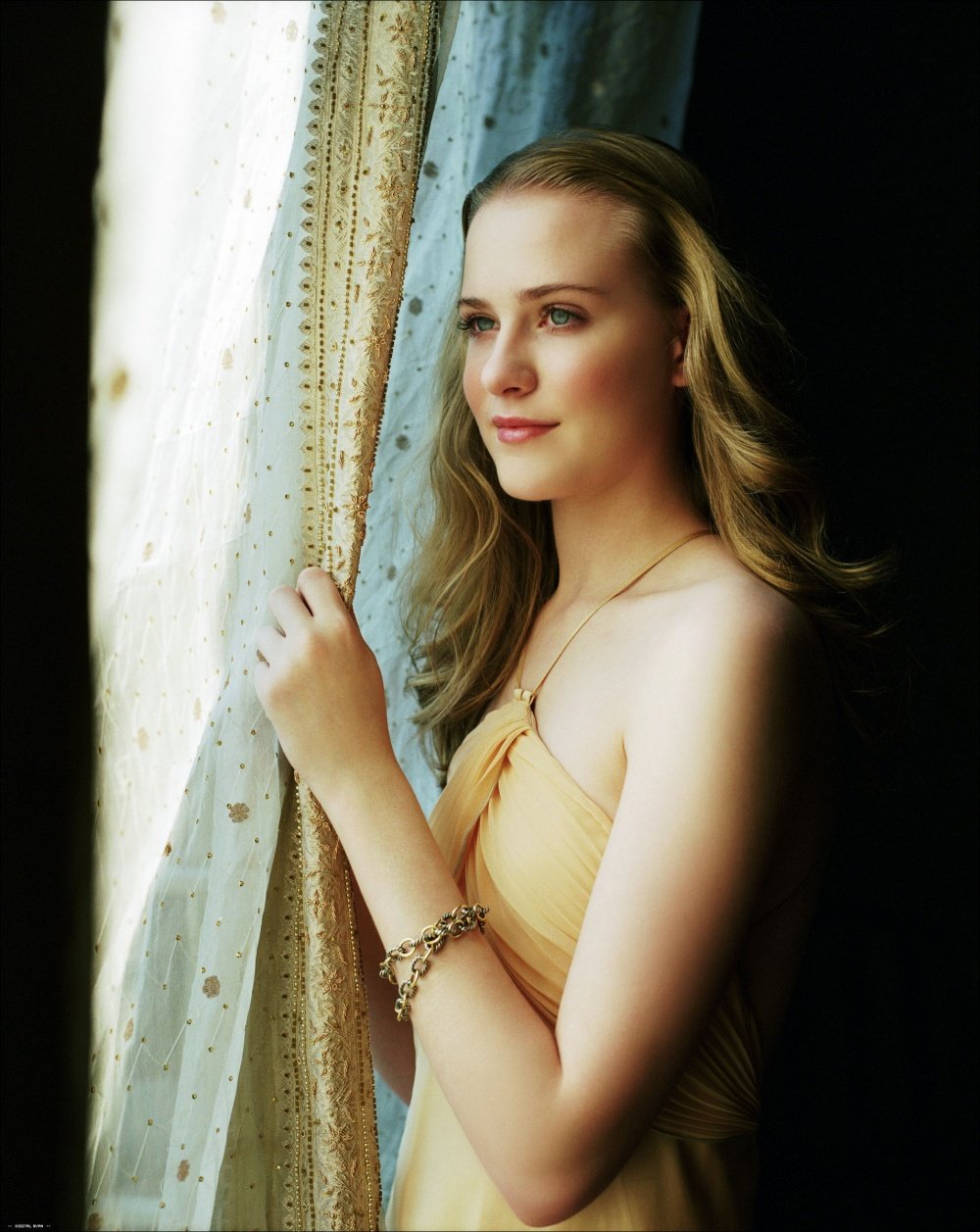 Evan Rachel Wood in a corset