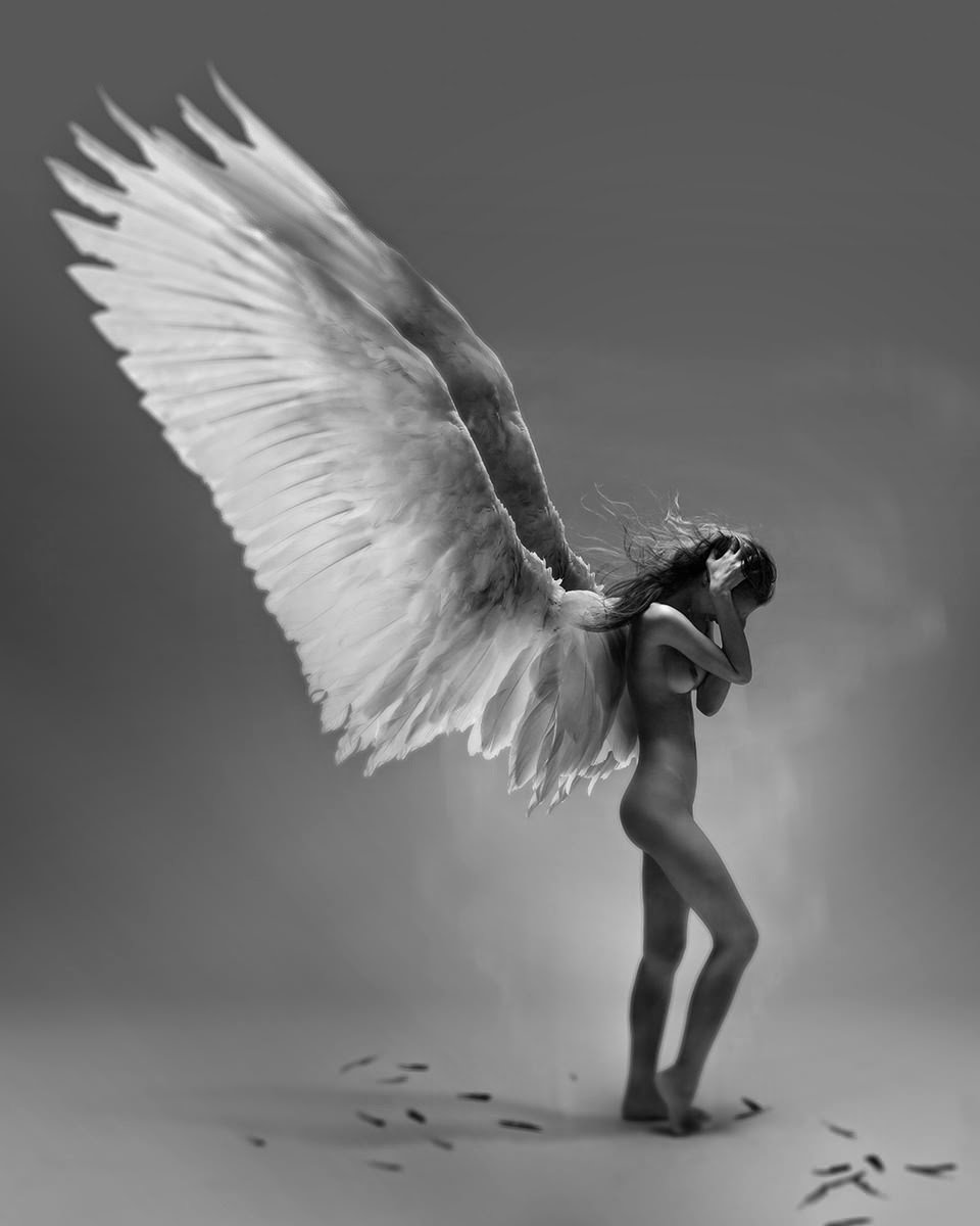 Black Angel Porn Model