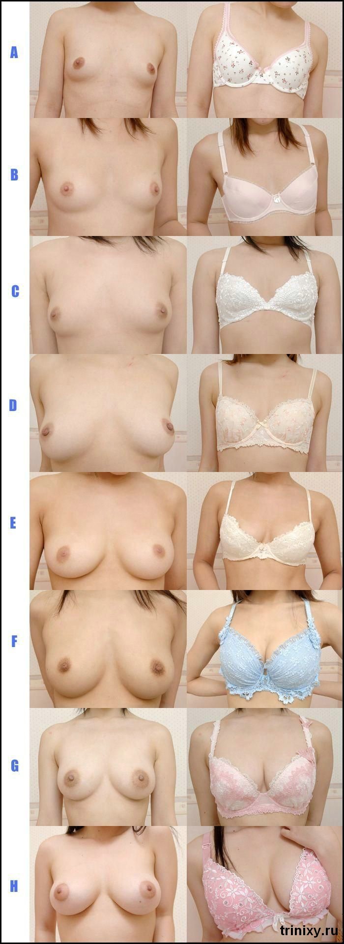 Naked boobs of different sizes