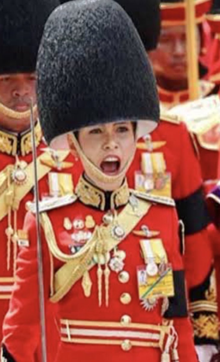 The concubines of the king of Thailand