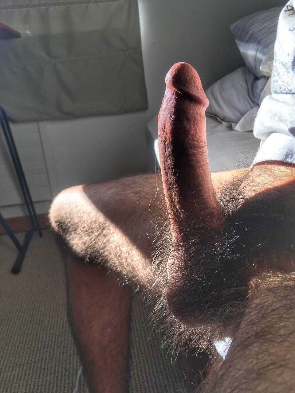 Male penis standing member