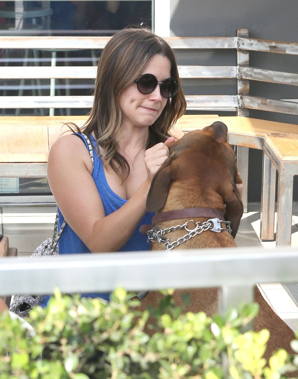 Sofia Bush photo