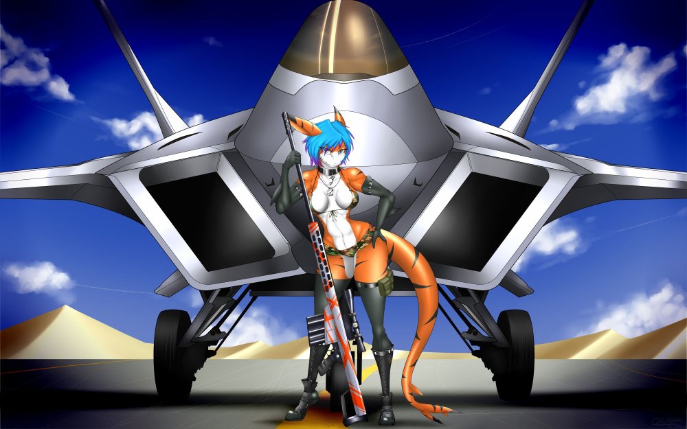 Furia Aircraft