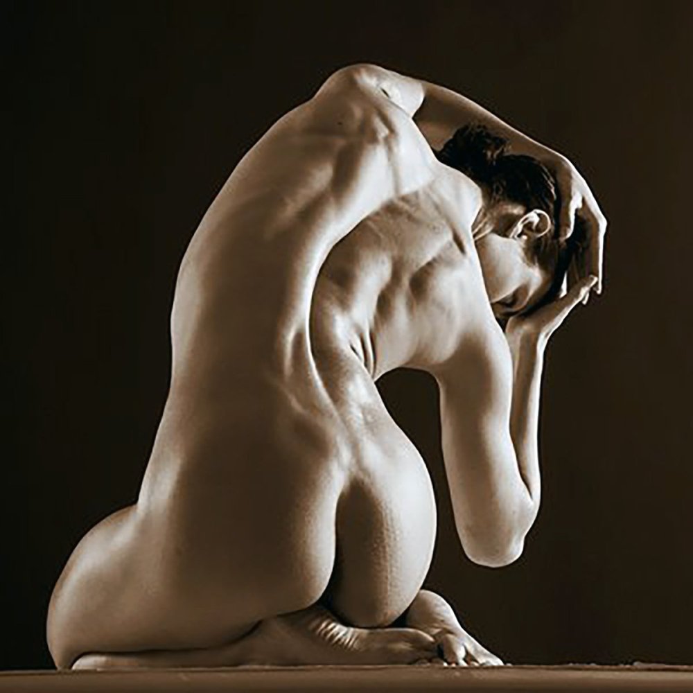 The bodies of a woman nude anatomy