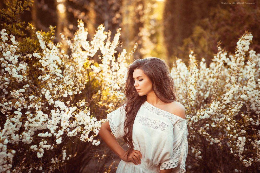 @Alena_sergeevna2016 Alena Kosheleva