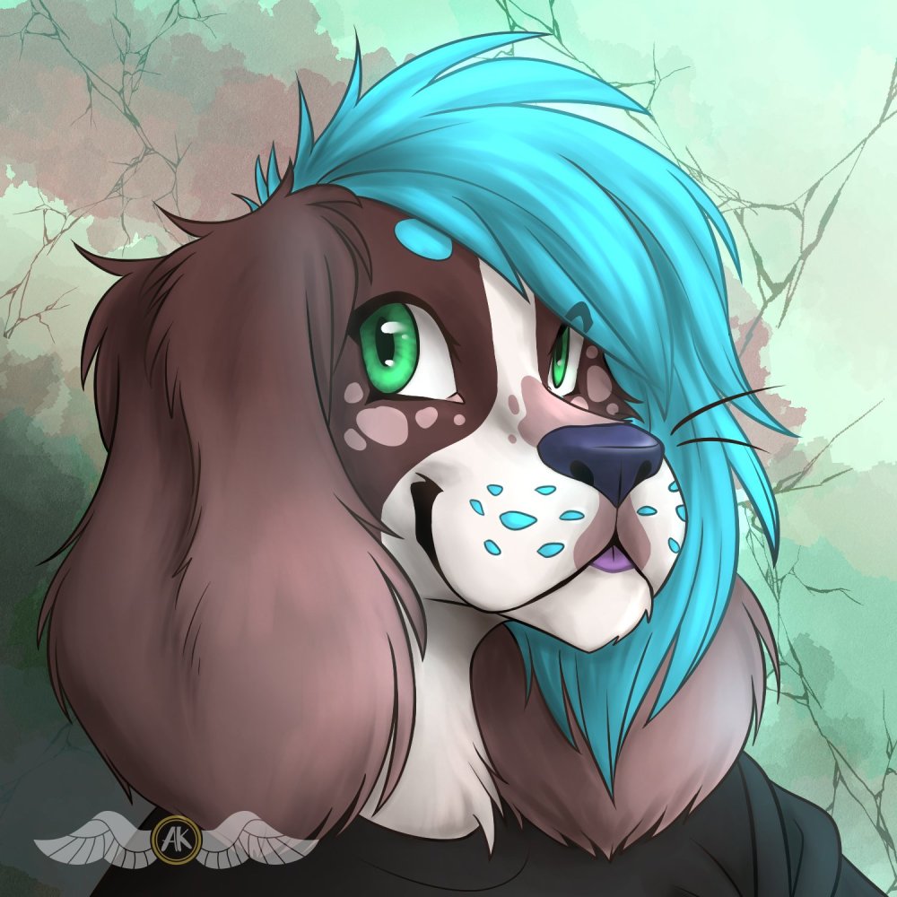 English Coker Spaniel