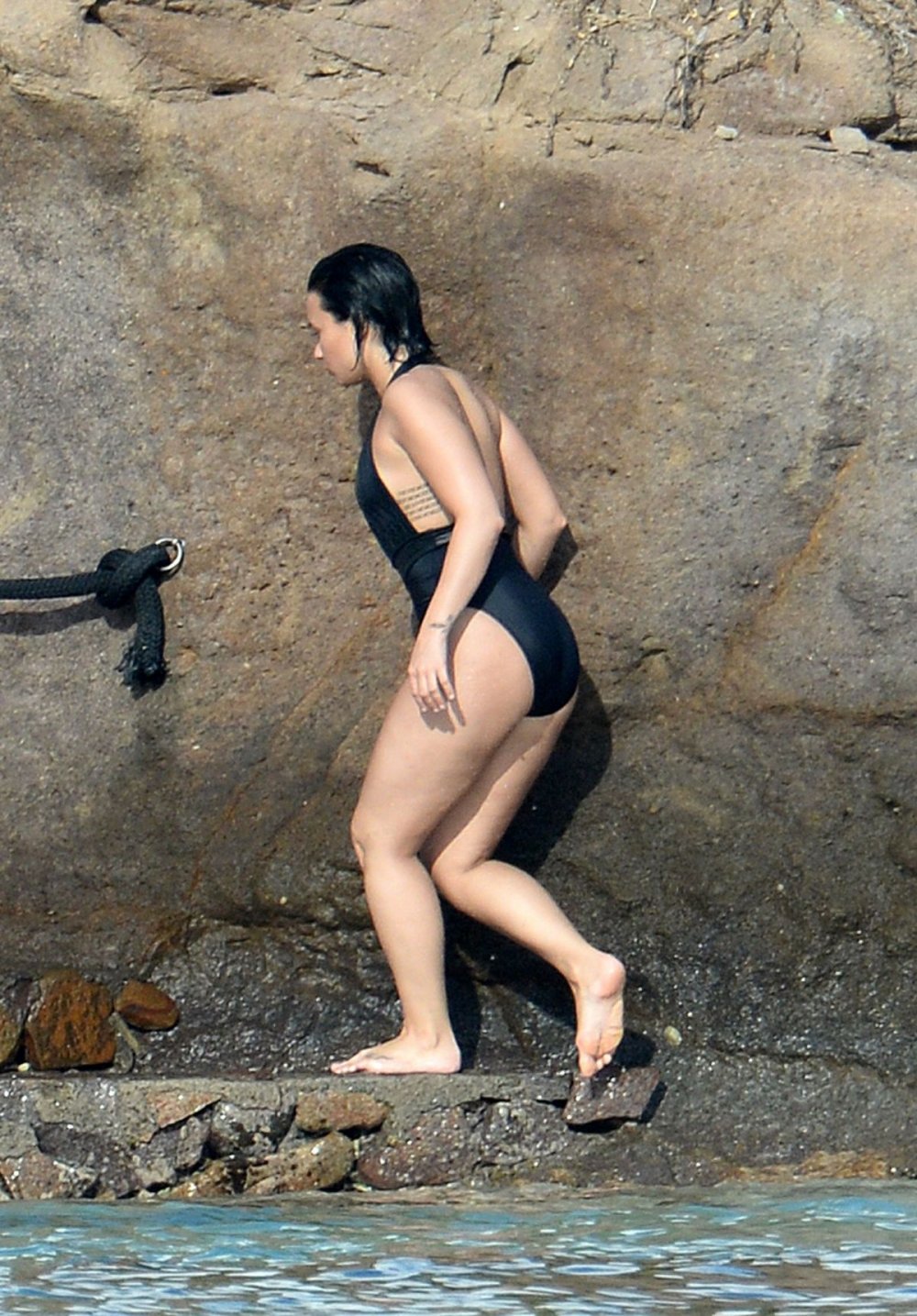 Demi Lovato Photos on Telephone Meme