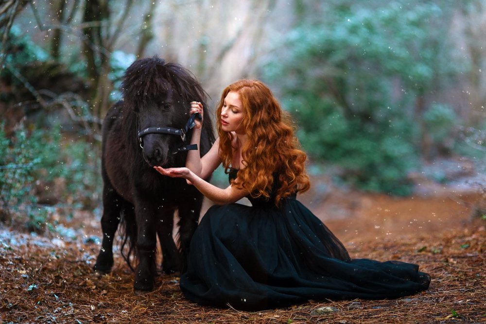 Butovskaya horse
