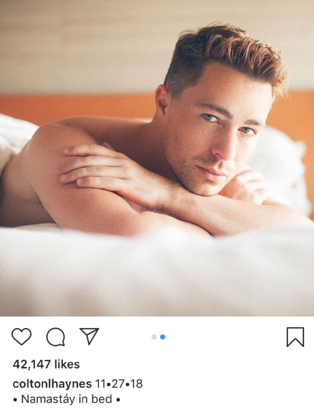 Collon Haynes Torsx 2020