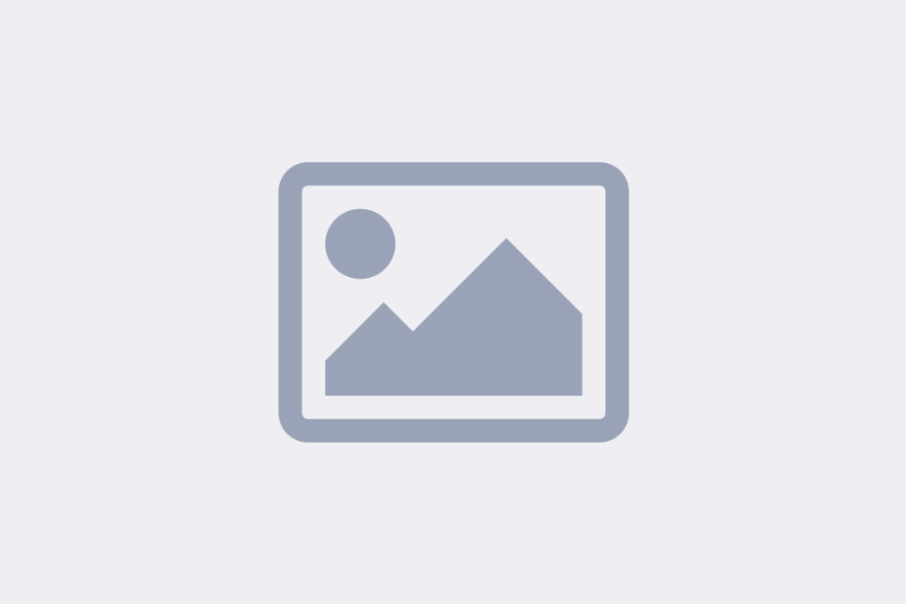 Panasonic microwave NN-SD366W