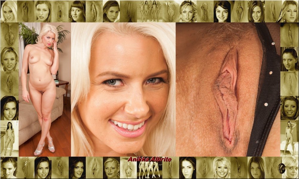 Faces and vaginas of pornses