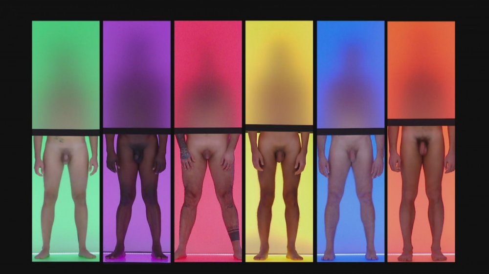 Naked Attraction German version