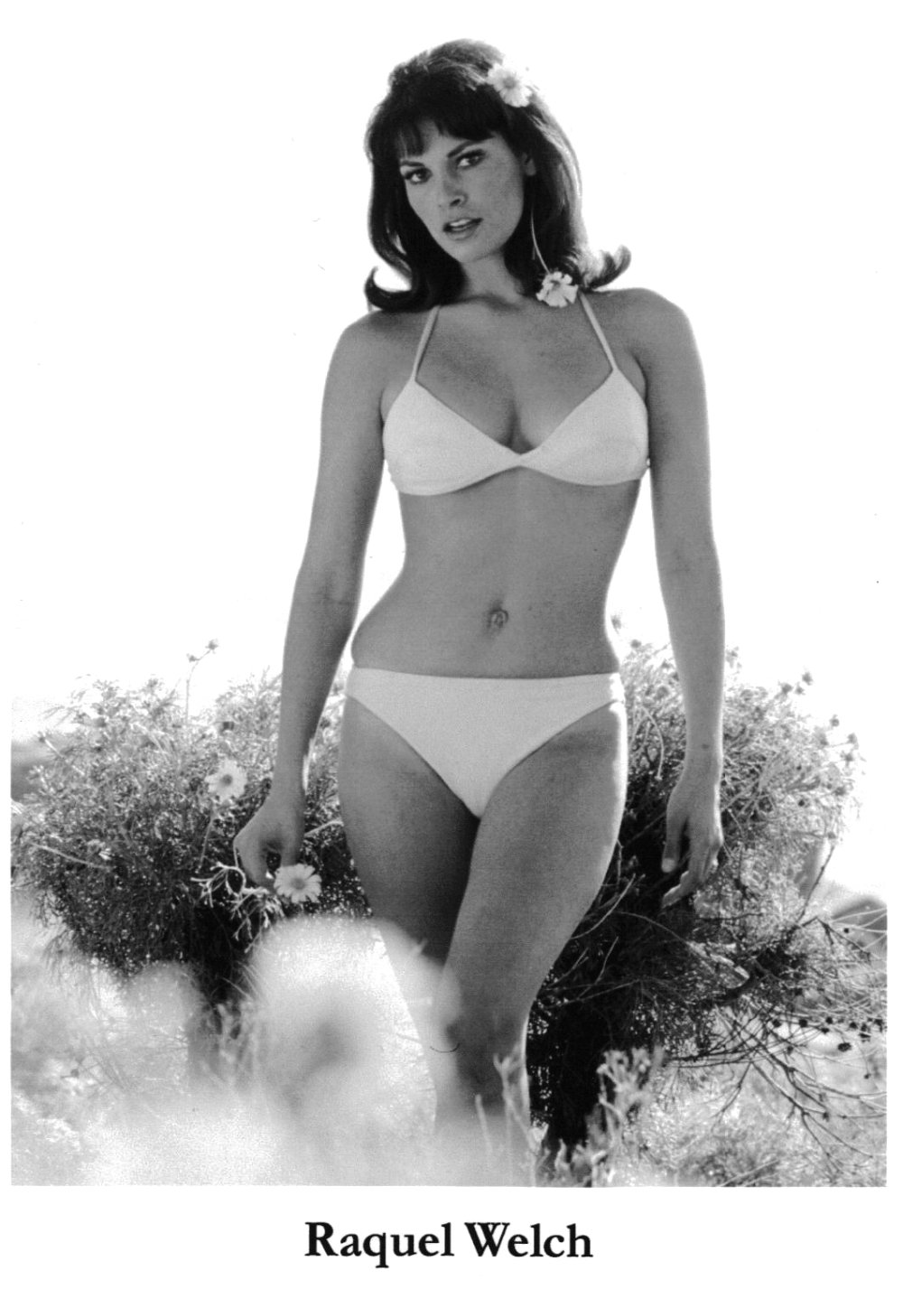 Rakel Welch photo in a swimsuit
