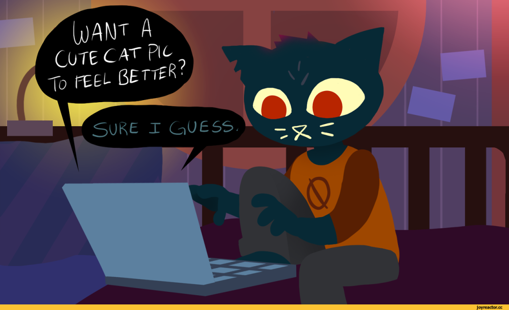 Bay NITW
