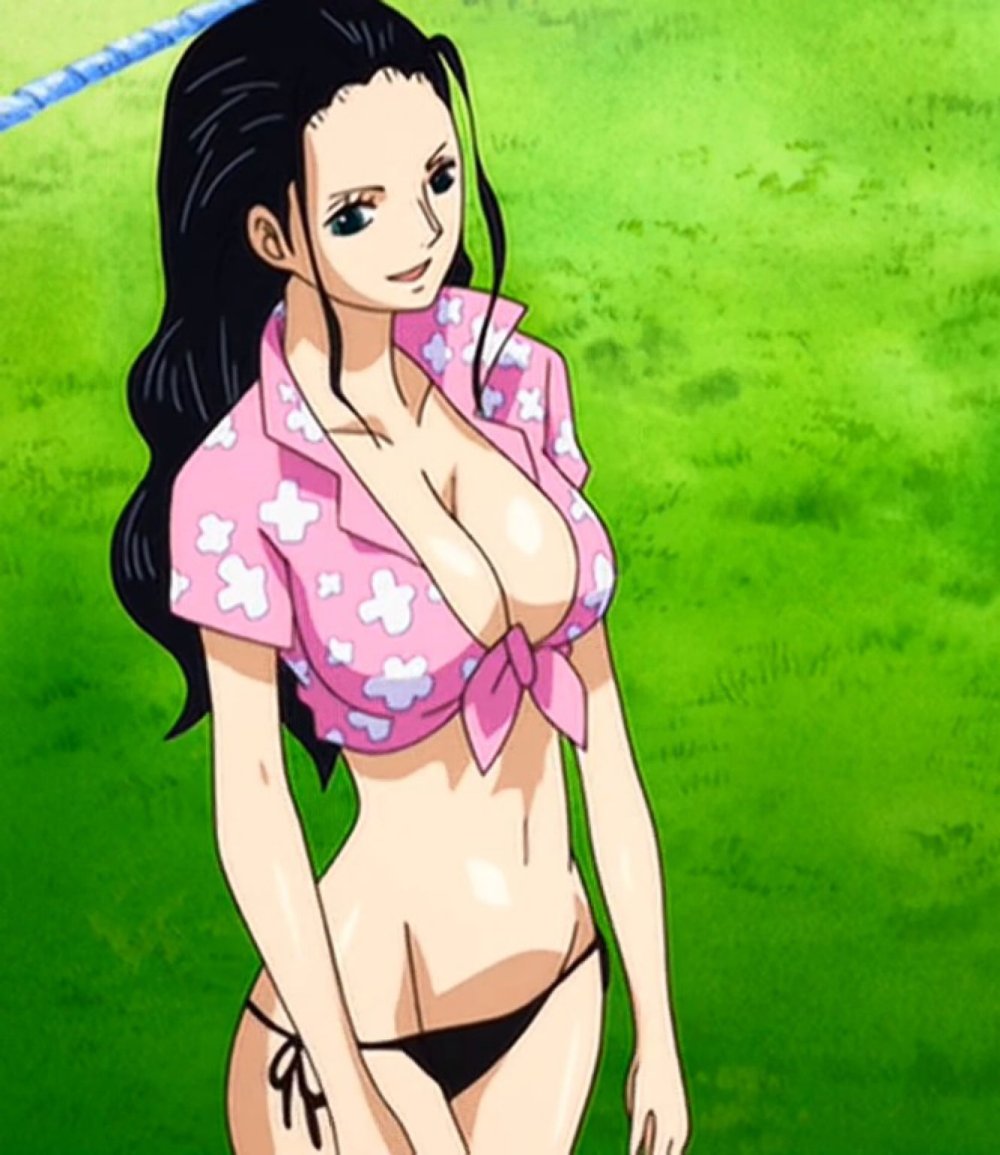 Van Pis Luffy and Hankok 18