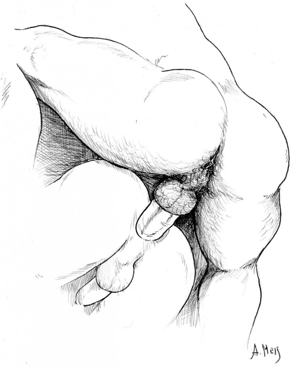 Pornographic drawings
