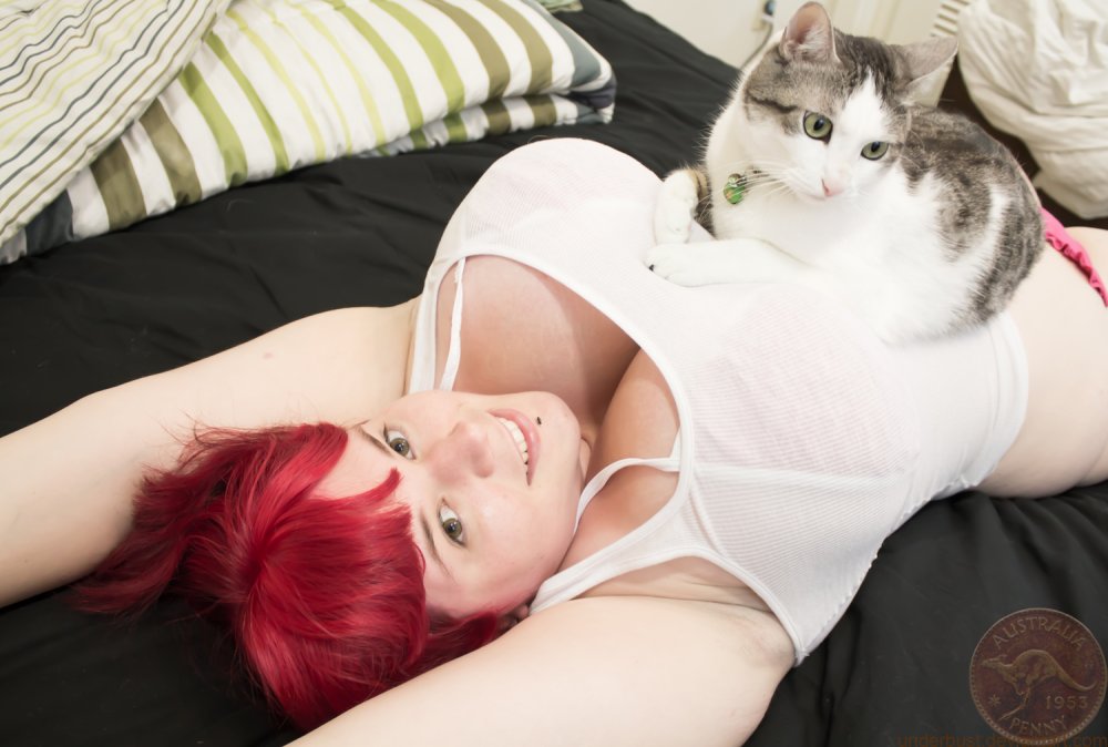 Kitten Latenight photo