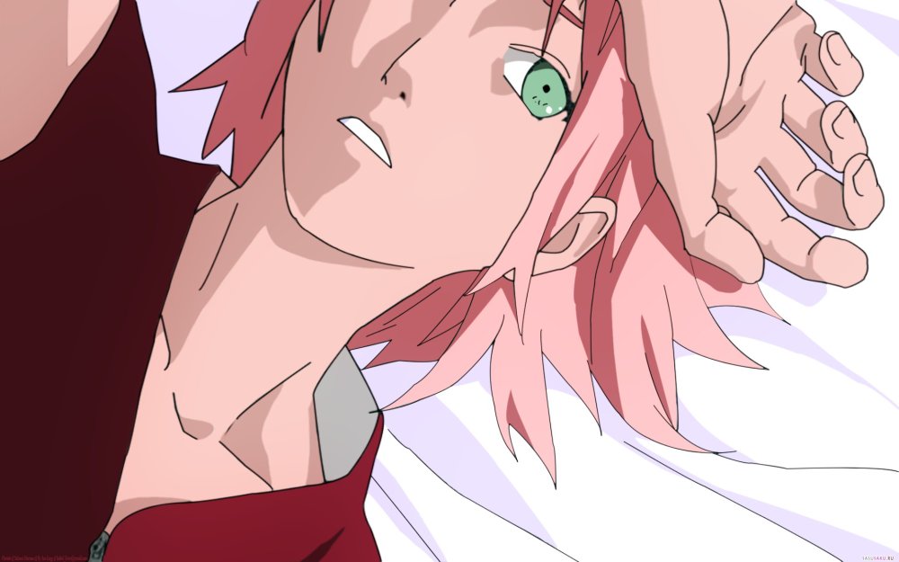 Sakura Haruno 18 +18 Sakura