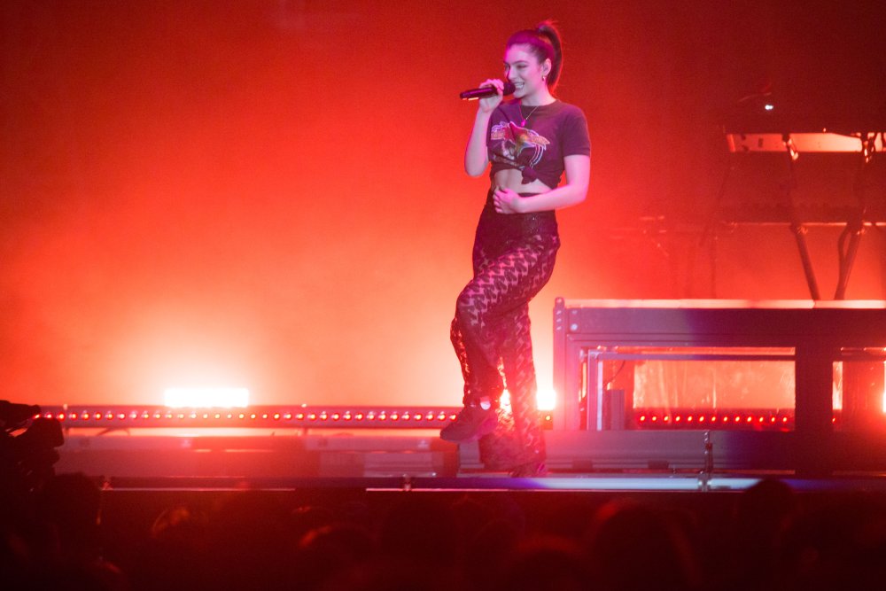 Cher Singer at a concert