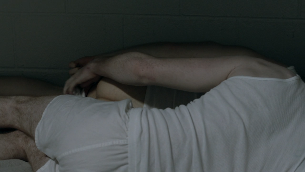 Sasha Alexander shameless naked