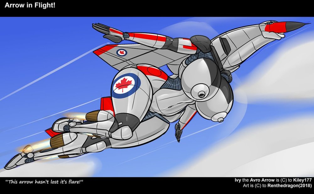 Rule 34 aircraft