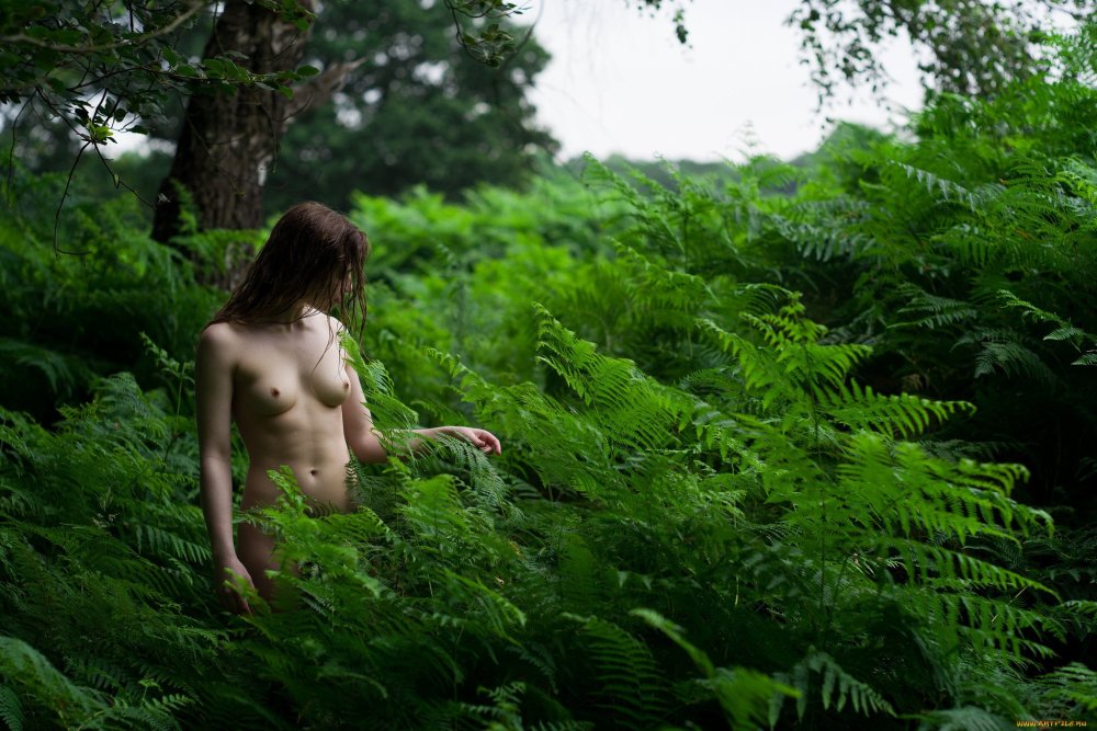 Stefan Soel