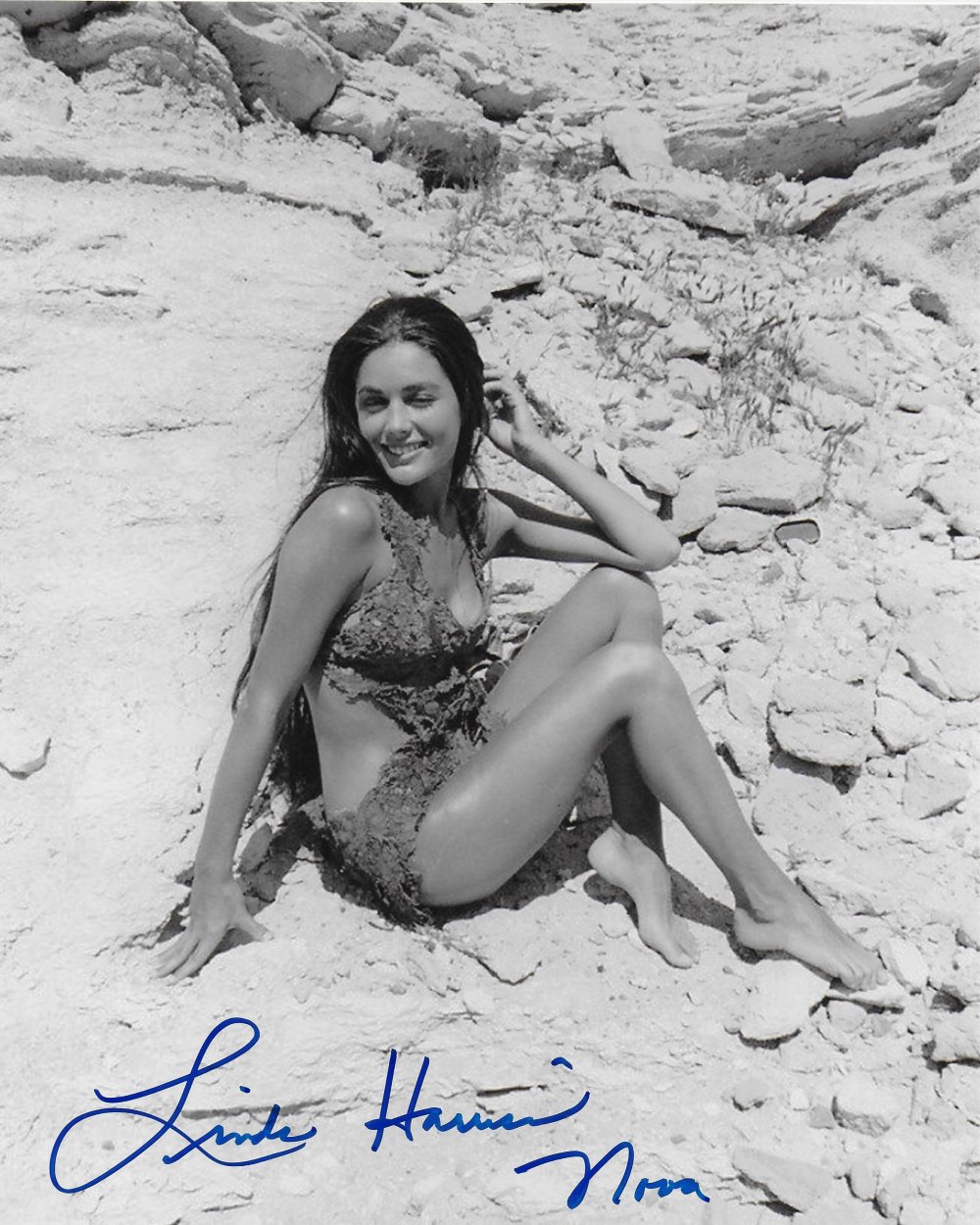 Jenilee Harrison photo