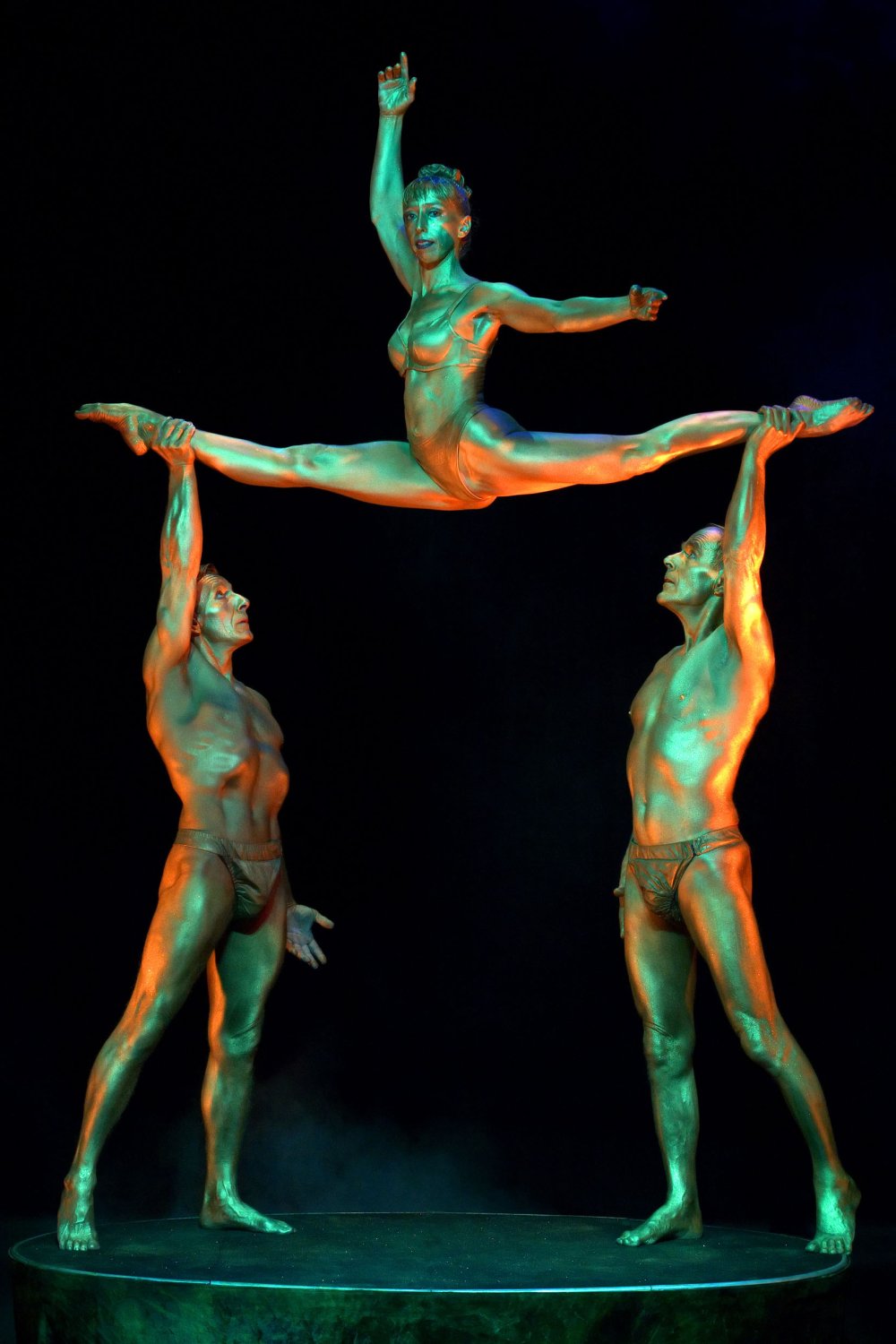Group Circus of Fear