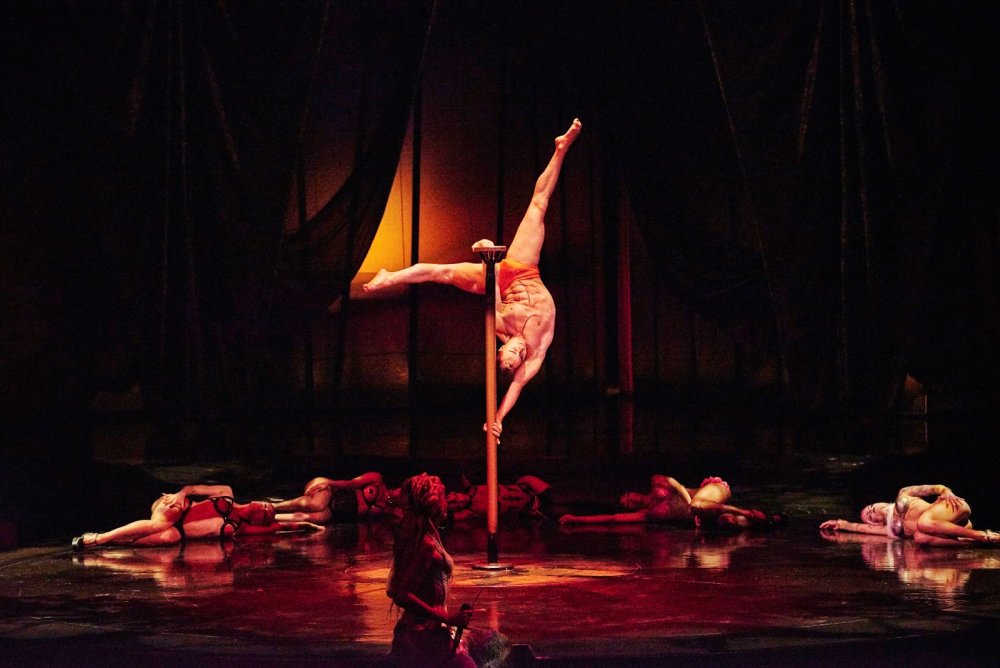 Expectation in the circus