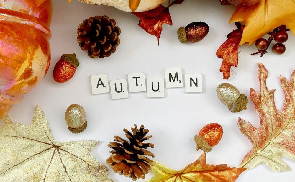 Elf Autumn