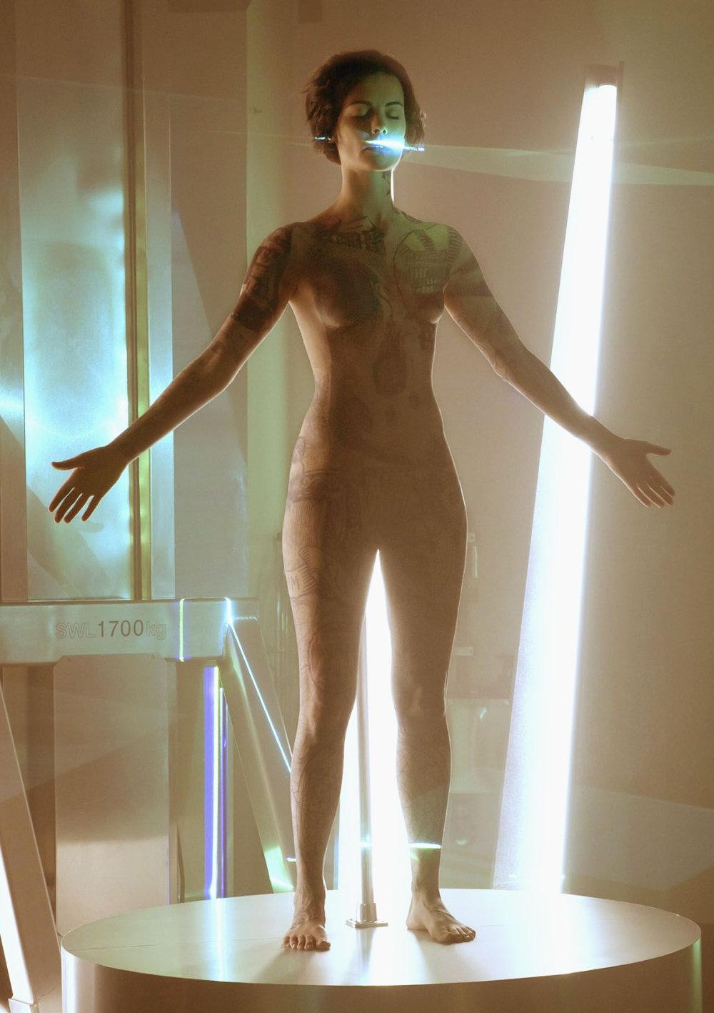 Jamie Alexander Naked