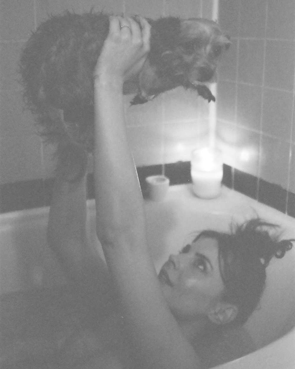 Willa Holland Plum