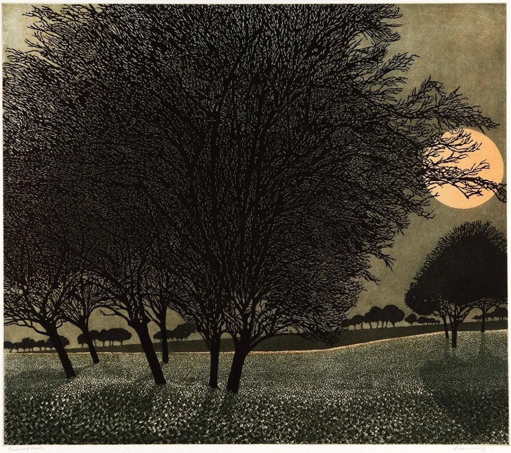 Phil Greenwood