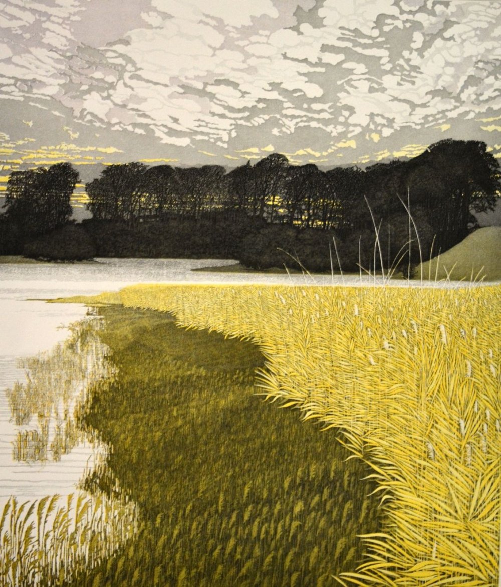 Phil Greenwood Pictures