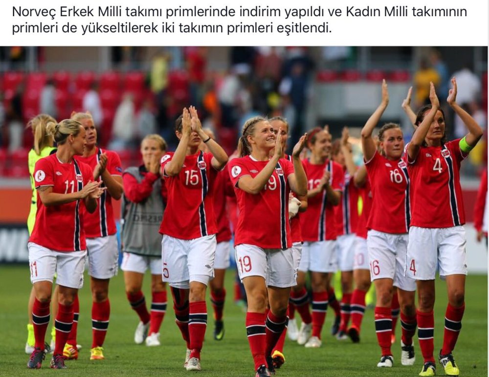 Norway Women's Council in Football