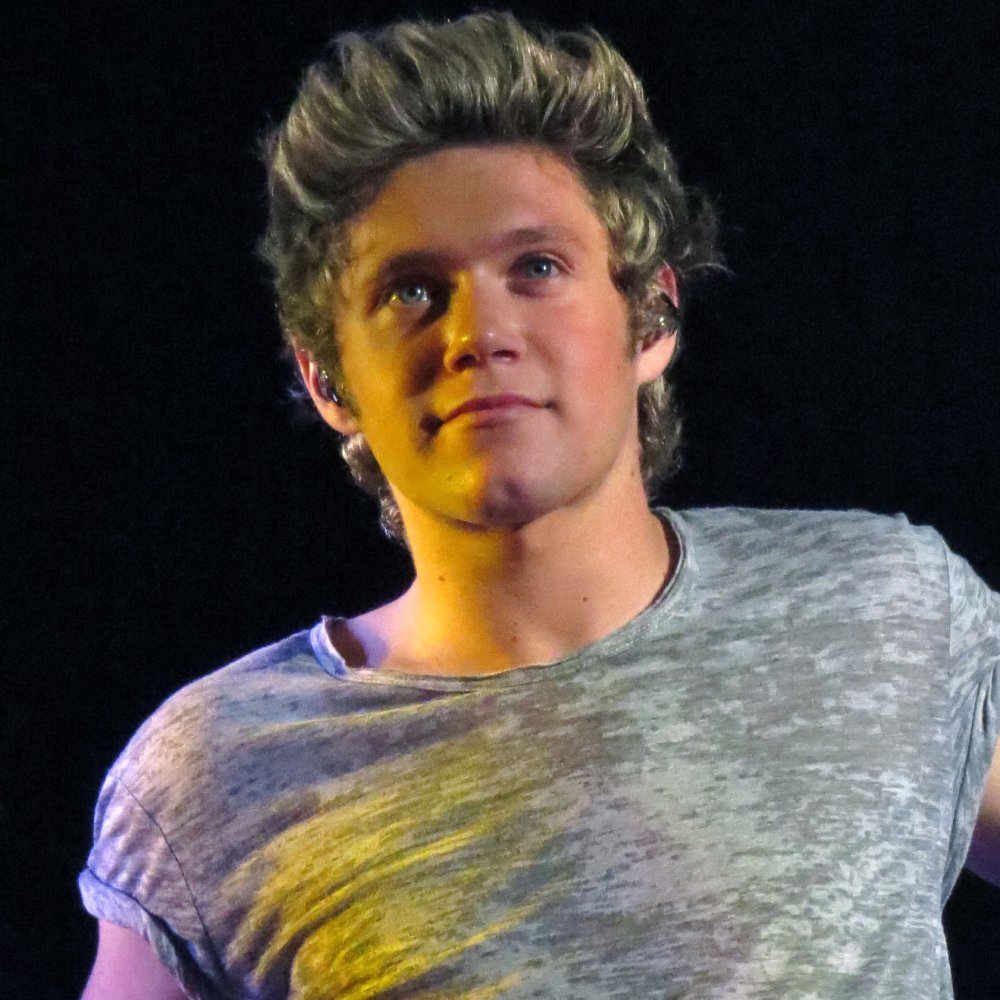 Niall Horan armpits