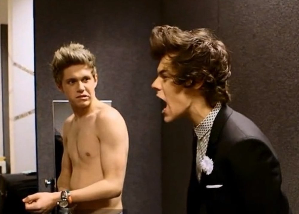 One Direction Nial Horan Torsos