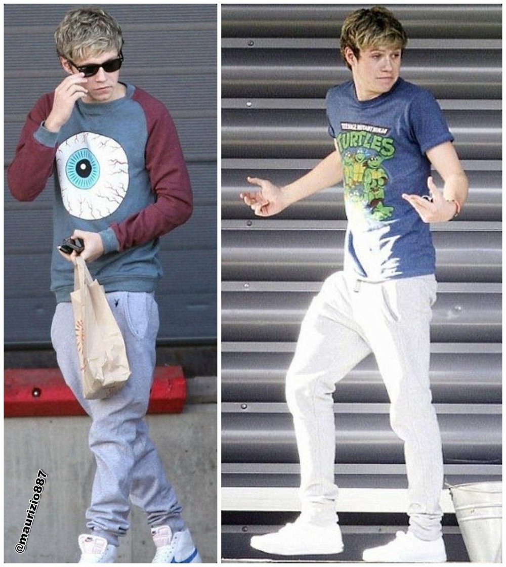 Niall Horan 2020