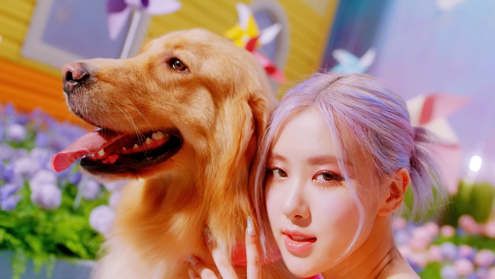 Jisu Blackpink Lovesick Girls
