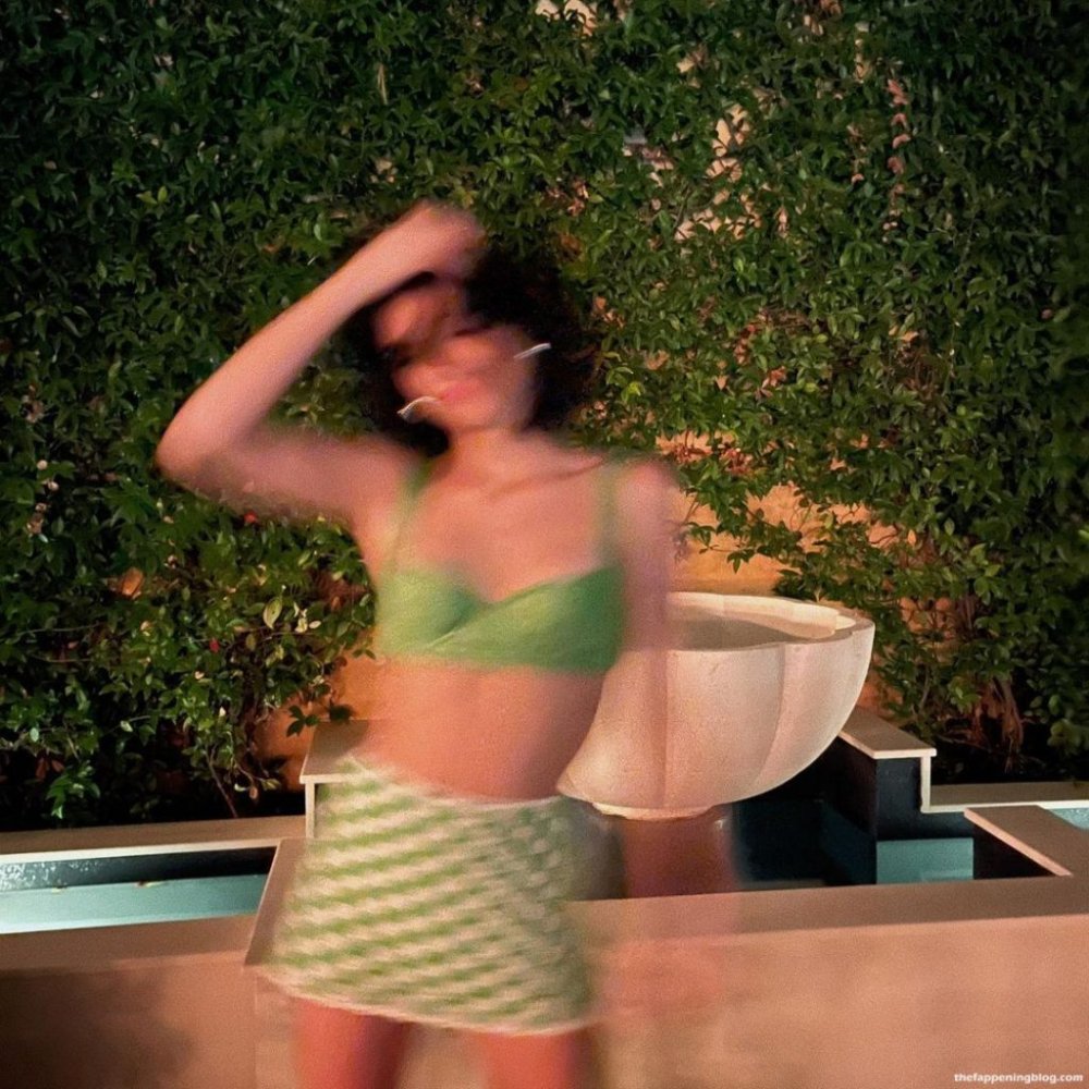 Dixie Damelio Leaked