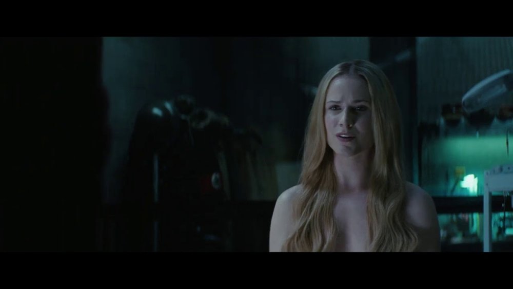 Evan Rachel Wood in underwear