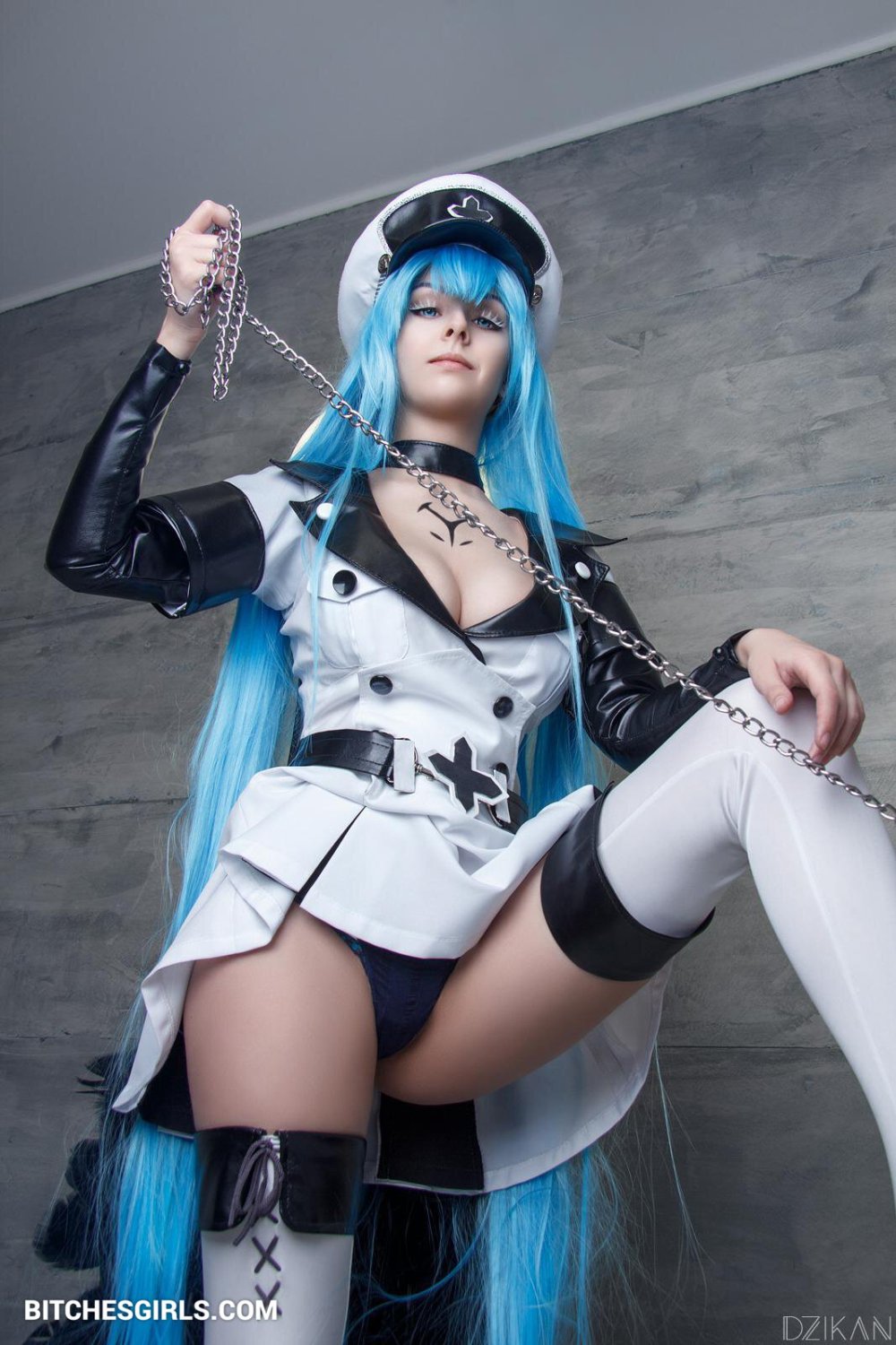 Disharmonica Elsa