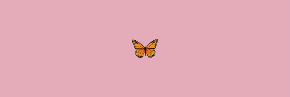 Wallpaper on a laptop minimalism aesthetics
