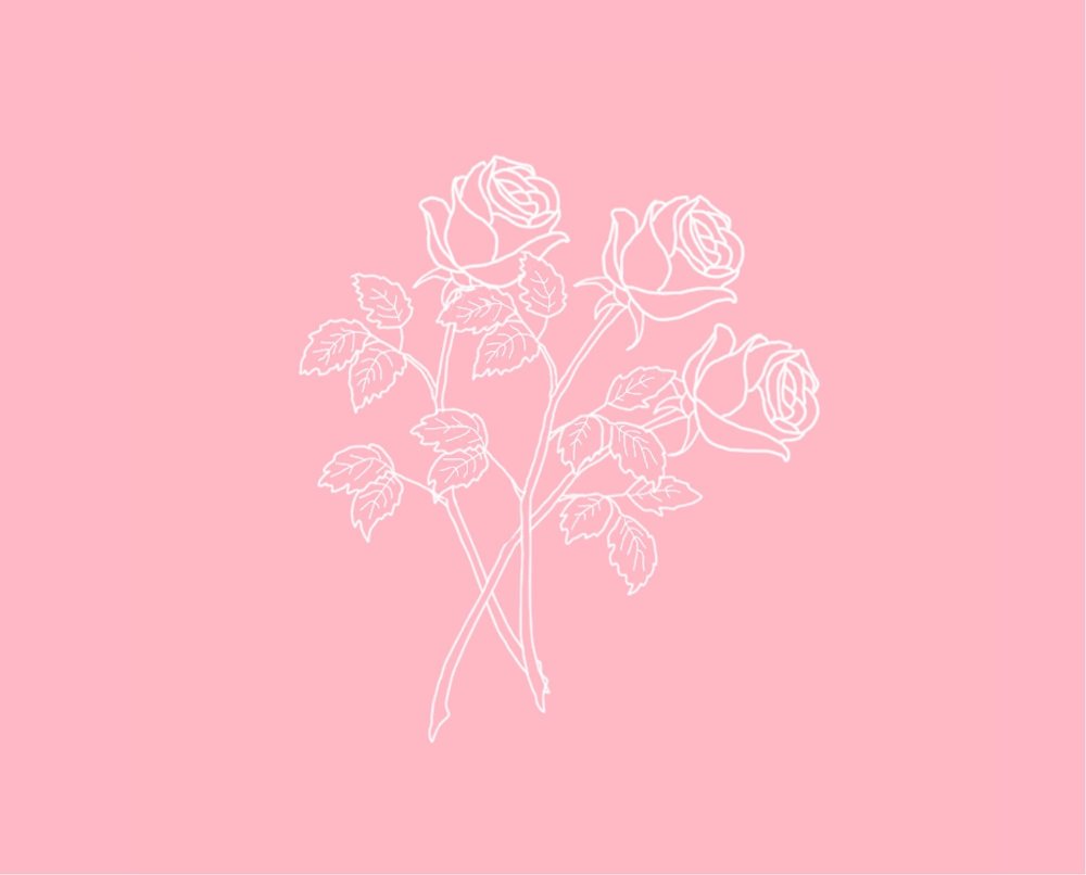 Flowers minimalism