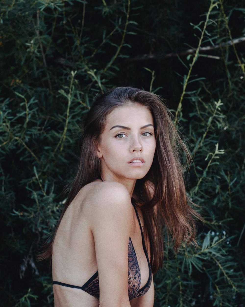 Nicola Cavanis Bellazon